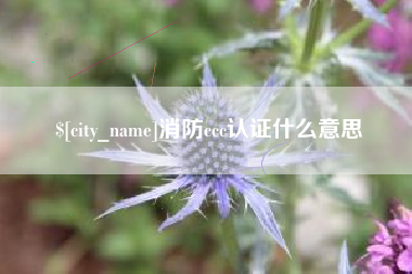 禹城消防ccc认证什么意思