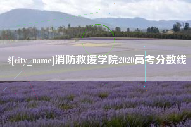 禹城消防救援学院2020高考分数线