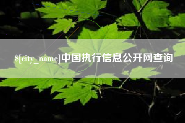 禹城中国执行信息公开网查询