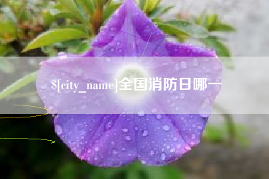 禹城全国消防日哪一