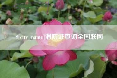 禹城消防证查询全国联网
