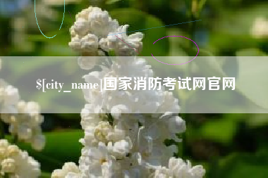 禹城国家消防考试网官网