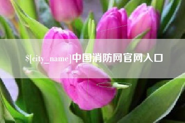 禹城中国消防网官网入口