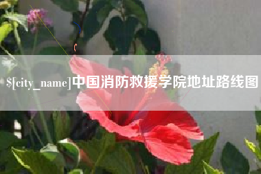 禹城中国消防救援学院地址路线图