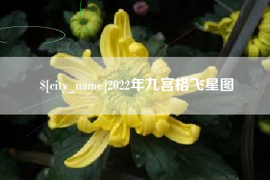 禹城2022年九宫格飞星图