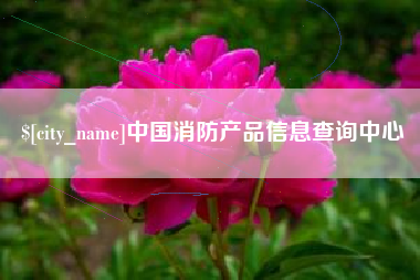 禹城中国消防产品信息查询中心