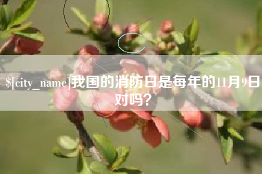 禹城我国的消防日是每年的11月9日对吗？