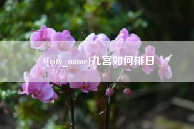 禹城九宫如何排日