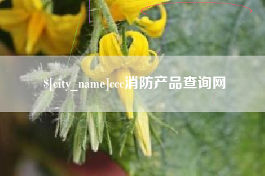 禹城ccc消防产品查询网