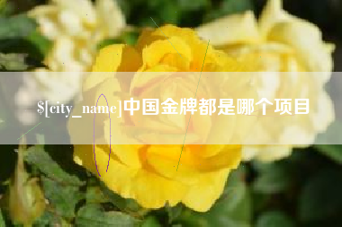 禹城中国金牌都是哪个项目