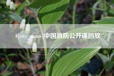 禹城中国消防公开课回放