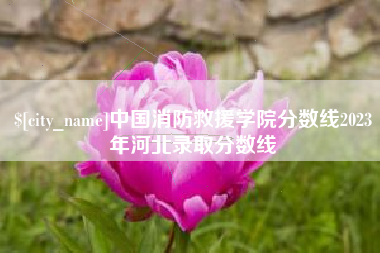 禹城中国消防救援学院分数线2023年河北录取分数线