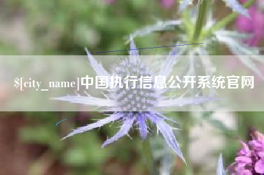 禹城中国执行信息公开系统官网