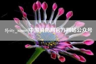 禹城中国消防网官方网站公众号