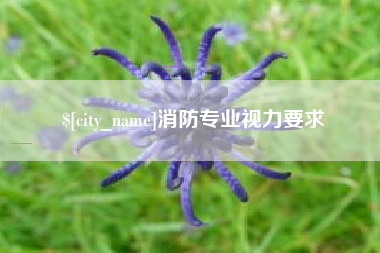 禹城消防专业视力要求