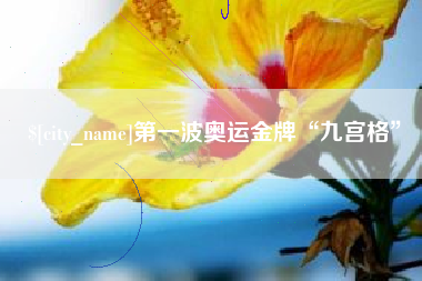 禹城第一波奥运金牌“九宫格”