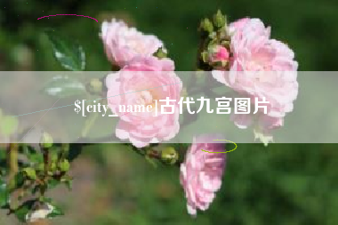 禹城古代九宫图片