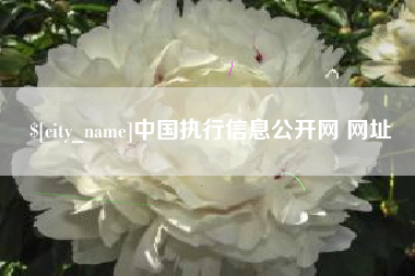 禹城中国执行信息公开网 网址