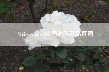 禹城中国消防产品官网