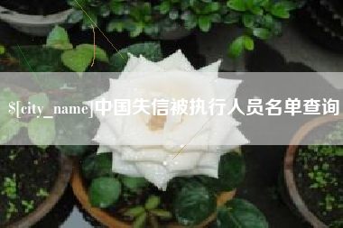 禹城中国失信被执行人员名单查询
