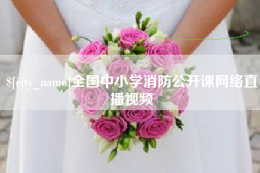 禹城全国中小学消防公开课网络直播视频