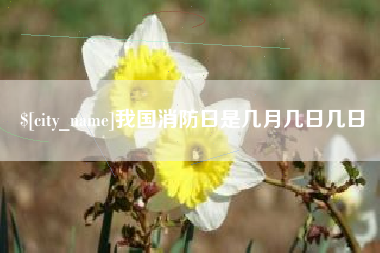 禹城我国消防日是几月几日几日