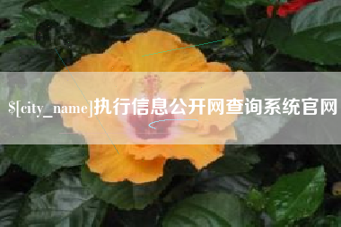 禹城执行信息公开网查询系统官网