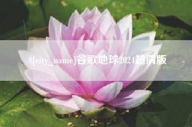 禹城谷歌地球2024超清版