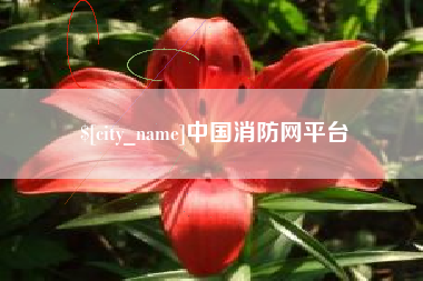 禹城中国消防网平台