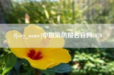 禹城中国消防报名官网2020