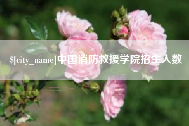 禹城中国消防救援学院招生人数