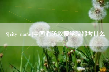 禹城中国消防救援学院都考什么