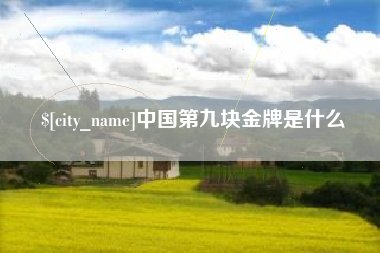 禹城中国第九块金牌是什么