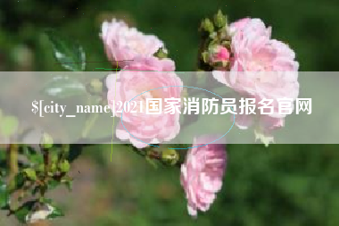 禹城2021国家消防员报名官网