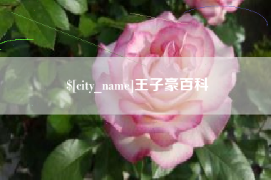 禹城王子豪百科