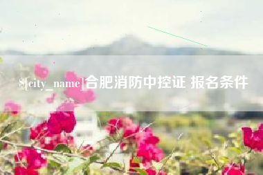 禹城合肥消防中控证 报名条件