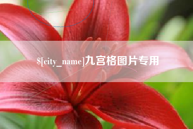 禹城九宫格图片专用