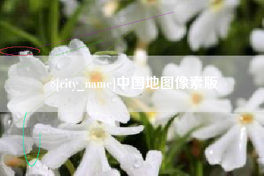 禹城中国地图像素版