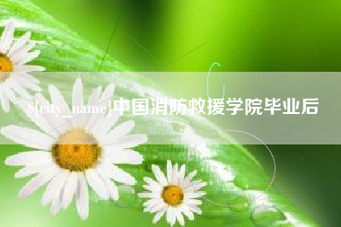 禹城中国消防救援学院毕业后