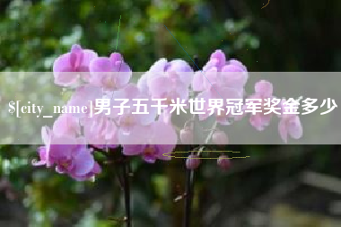 禹城男子五千米世界冠军奖金多少