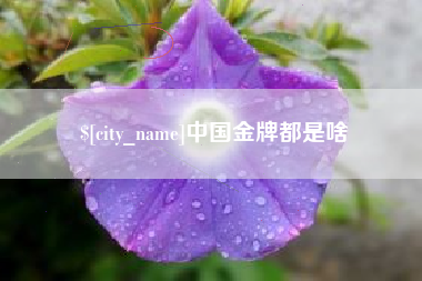 禹城中国金牌都是啥