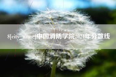 禹城中国消防学院2024年分数线