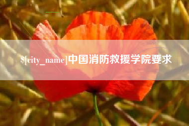 禹城中国消防救援学院要求