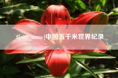禹城中国五千米世界纪录