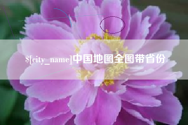 禹城中国地图全图带省份