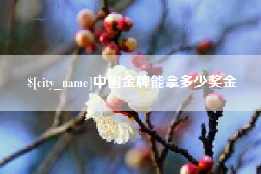 禹城中国金牌能拿多少奖金