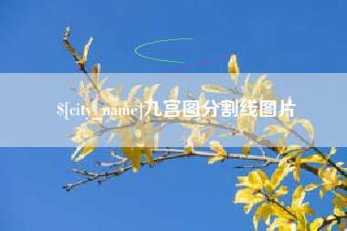 禹城九宫图分割线图片