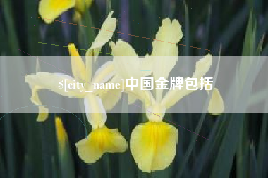 禹城中国金牌包括
