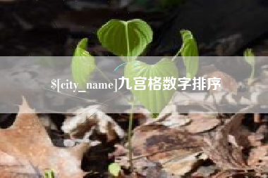 禹城九宫格数字排序