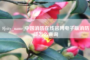 禹城中国消防在线官网电子版消防证怎么查询